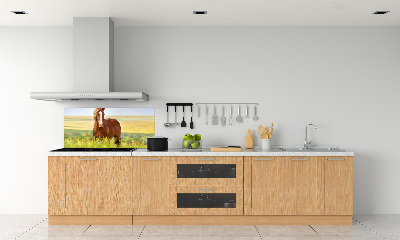 Cooker splashback Brown horse