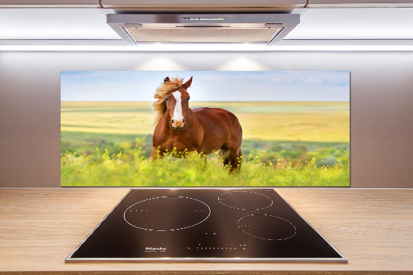 Cooker splashback Brown horse