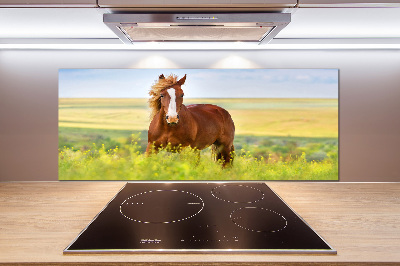 Cooker splashback Brown horse