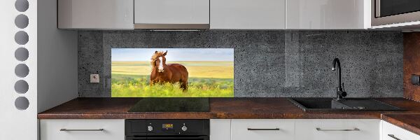 Cooker splashback Brown horse