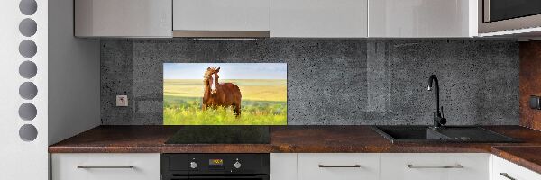 Cooker splashback Brown horse