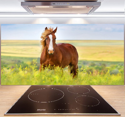 Cooker splashback Brown horse