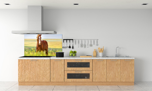 Cooker splashback Brown horse