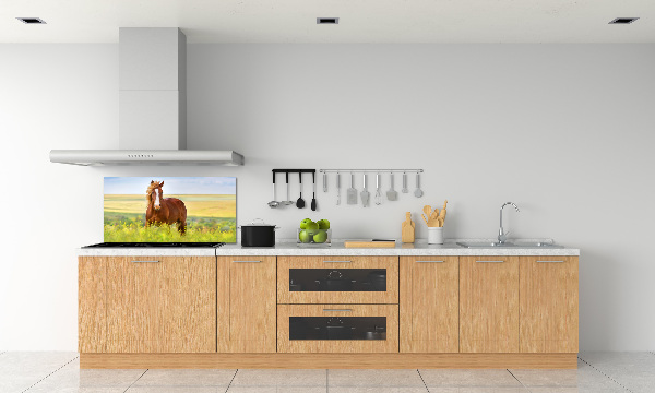 Cooker splashback Brown horse