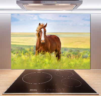 Cooker splashback Brown horse