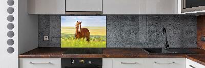 Cooker splashback Brown horse