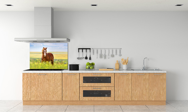 Cooker splashback Brown horse