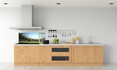 Cooker splashback France stadium