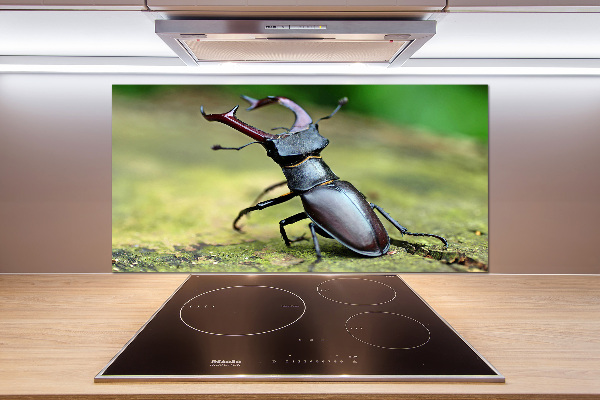 Cooker splashback Beetle