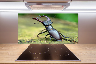 Cooker splashback Beetle