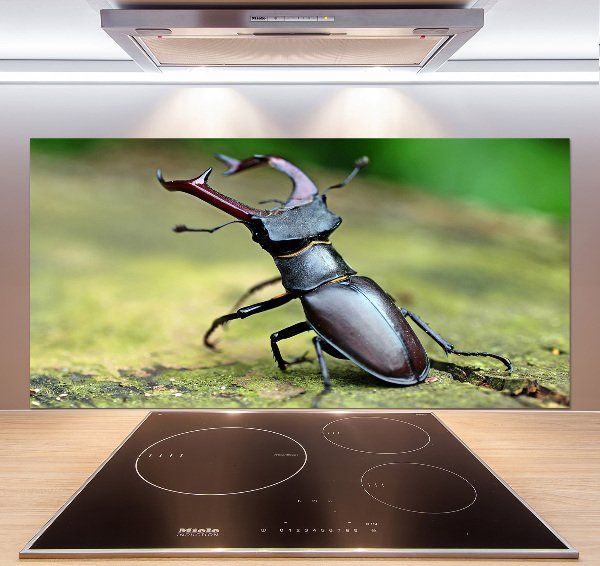 Cooker splashback Beetle