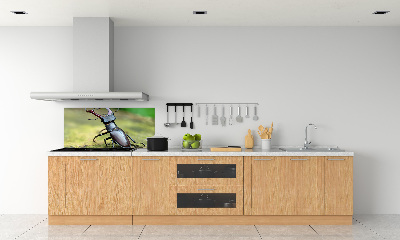 Cooker splashback Beetle