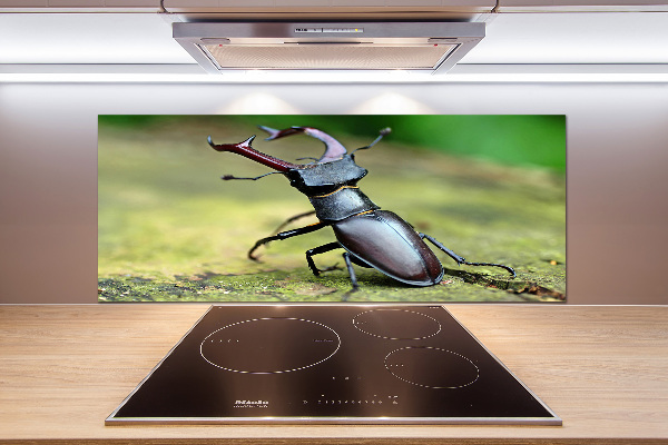 Cooker splashback Beetle