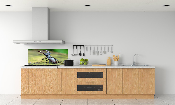 Cooker splashback Beetle