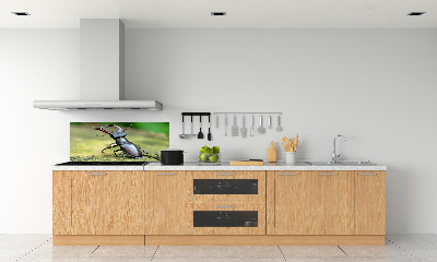 Cooker splashback Beetle