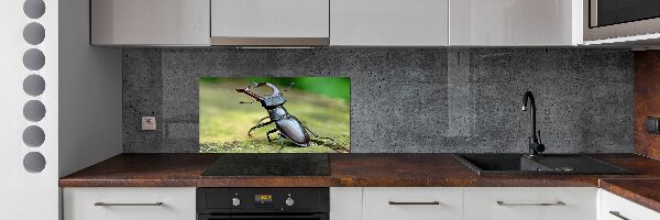 Cooker splashback Beetle