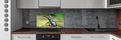 Cooker splashback Beetle