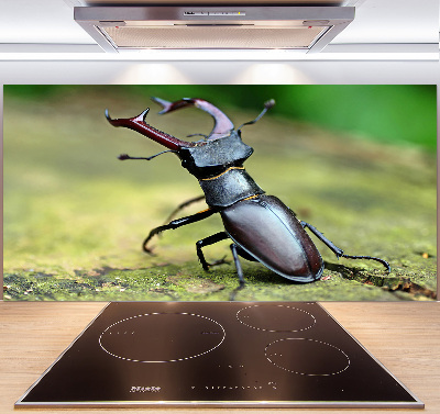 Cooker splashback Beetle