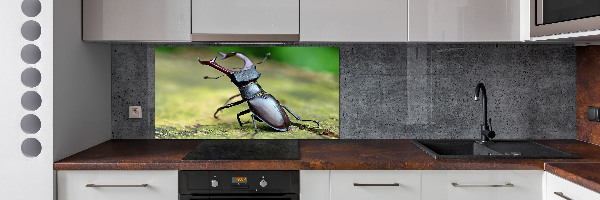 Cooker splashback Beetle