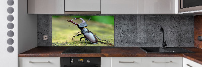 Cooker splashback Beetle