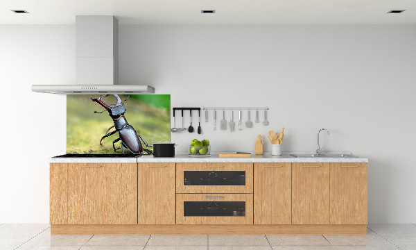 Cooker splashback Beetle