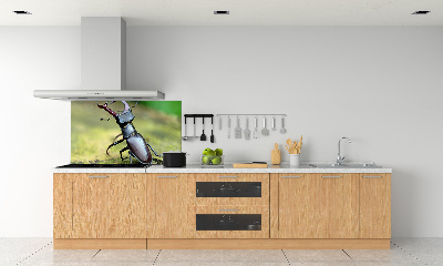 Cooker splashback Beetle