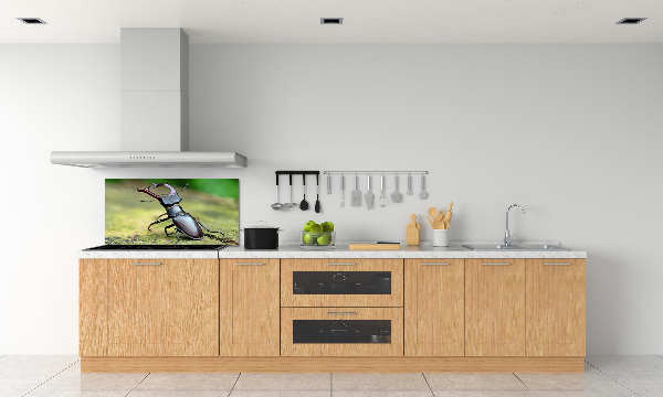 Cooker splashback Beetle