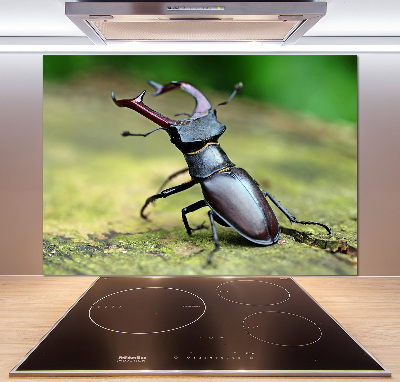 Cooker splashback Beetle