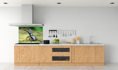 Cooker splashback Beetle