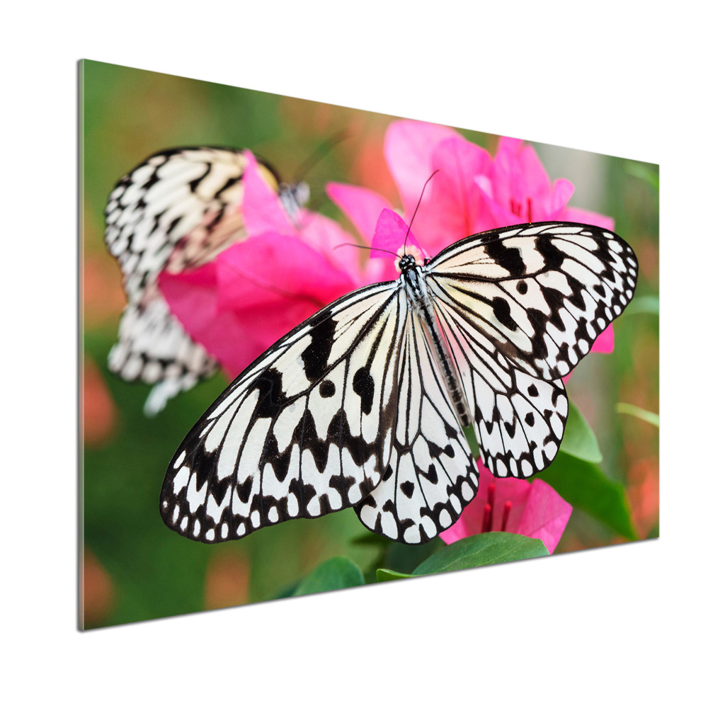 Cooker splashback Flower butterfly