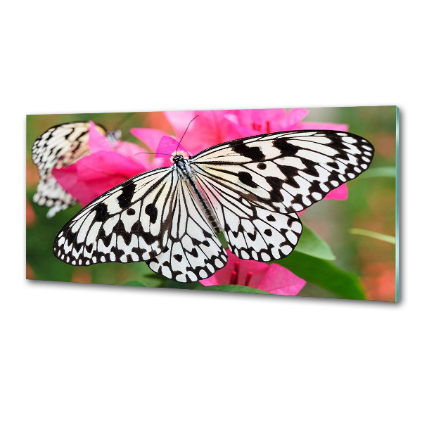 Cooker splashback Flower butterfly