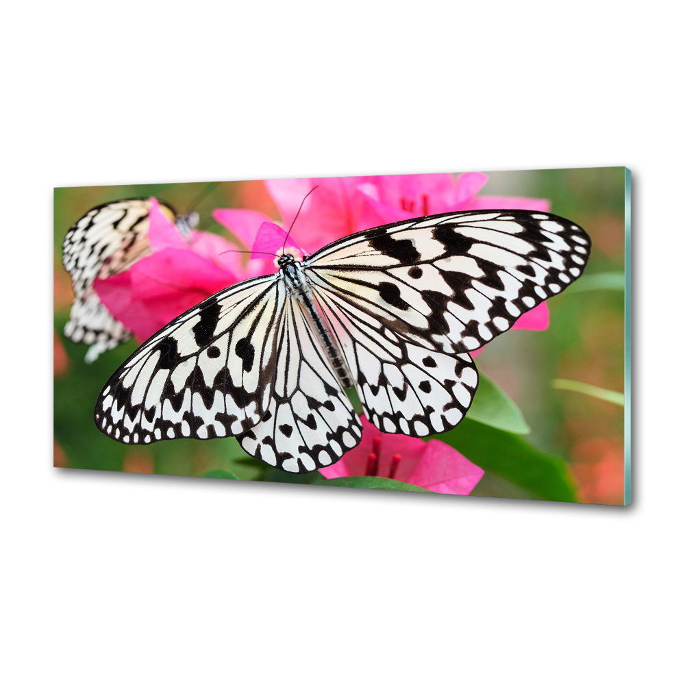 Cooker splashback Flower butterfly