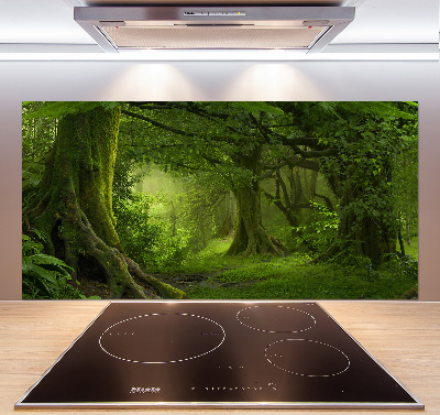 Cooker splashback Tropical jungle