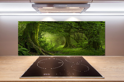 Cooker splashback Tropical jungle