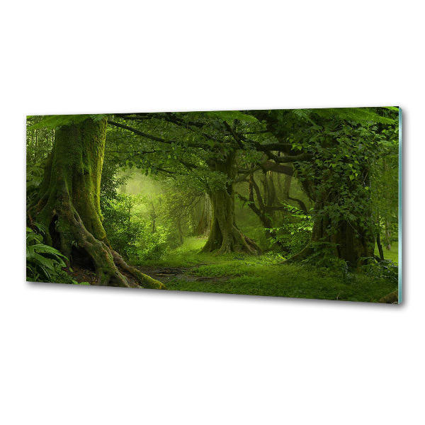 Cooker splashback Tropical jungle