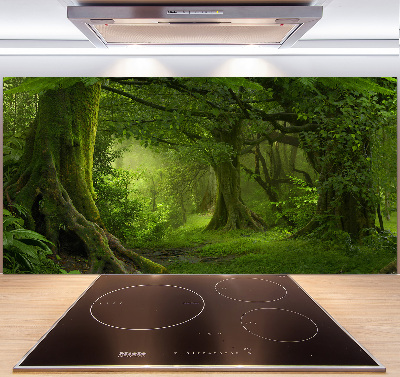 Cooker splashback Tropical jungle