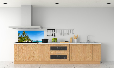 Cooker splashback Beach in the Caribbean