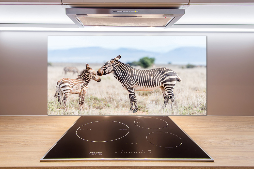 Cooker splashback Zebra in the mountains