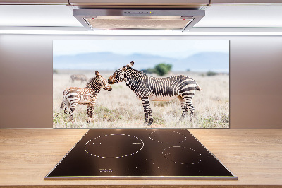 Cooker splashback Zebra in the mountains