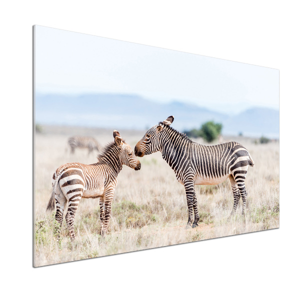 Cooker splashback Zebra in the mountains