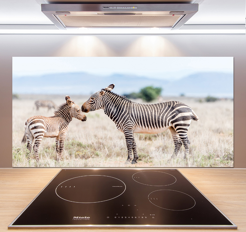 Cooker splashback Zebra in the mountains