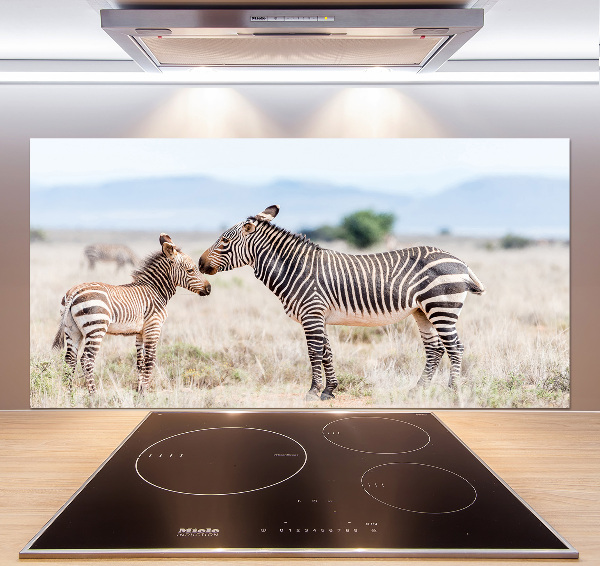 Cooker splashback Zebra in the mountains