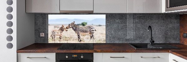 Cooker splashback Zebra in the mountains