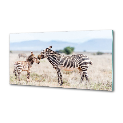 Cooker splashback Zebra in the mountains