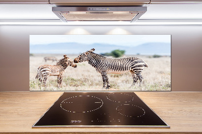 Cooker splashback Zebra in the mountains