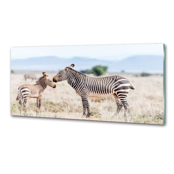 Cooker splashback Zebra in the mountains