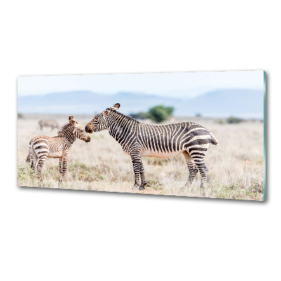 Cooker splashback Zebra in the mountains