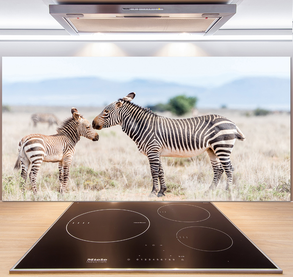 Cooker splashback Zebra in the mountains