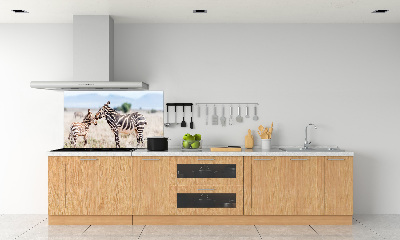 Cooker splashback Zebra in the mountains