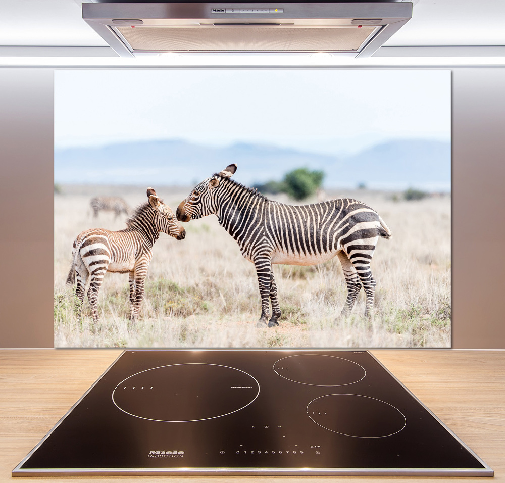 Cooker splashback Zebra in the mountains